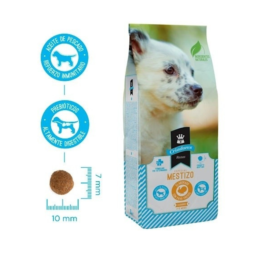 como cuidar a un cachorro boxer