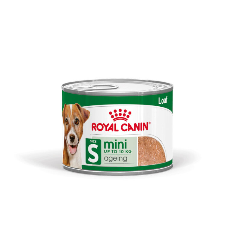 12 latas x 195 g Royal Canin Mini 8+ Ageing lata para perros senior ¡Pack ahorro!