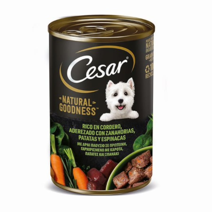 12 latas x 400 g Cesar Cordero Lata para Perros Adultos ¡Pack ahorro!