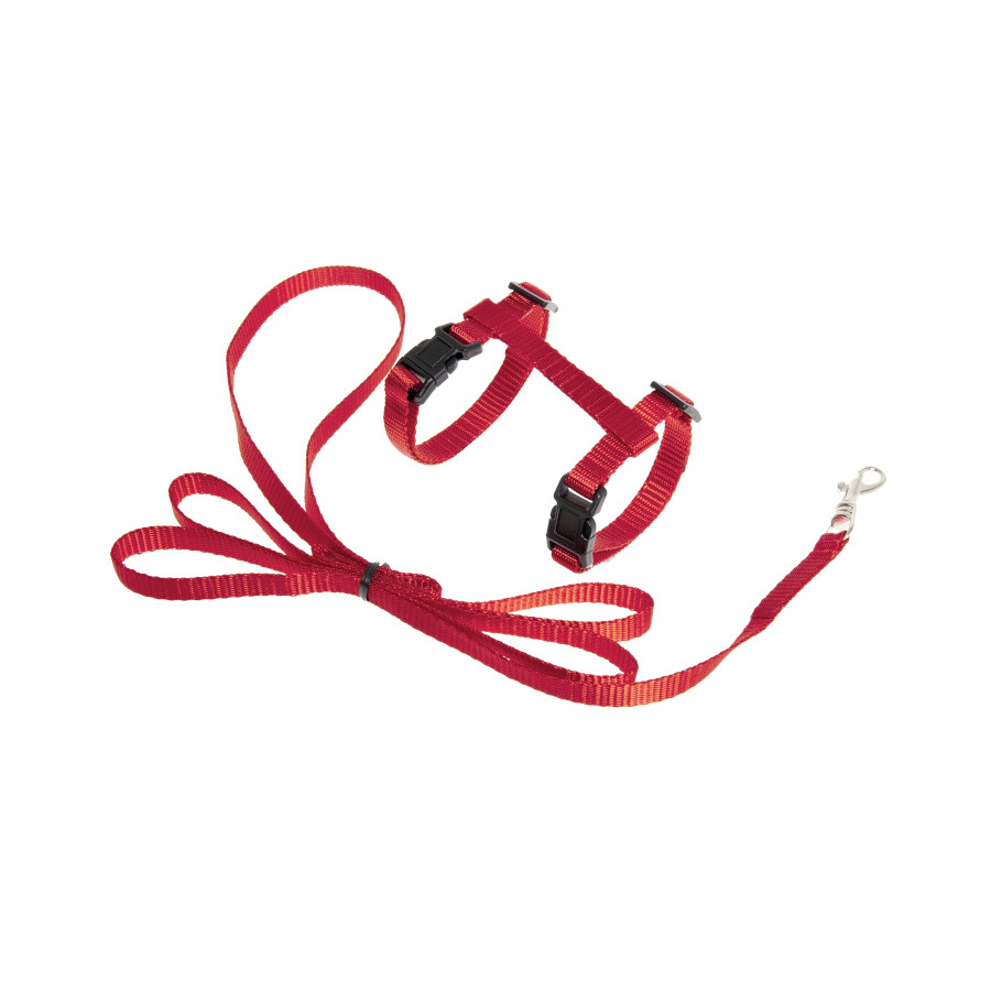 Flamingo Arnés con Correa Ziggi Rojo para gatitos