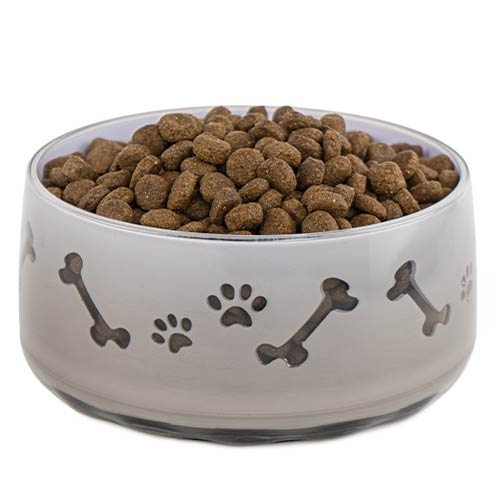 Comedero  Pet Paw COMEDERO  PET PAW  GRIS 1000 ML