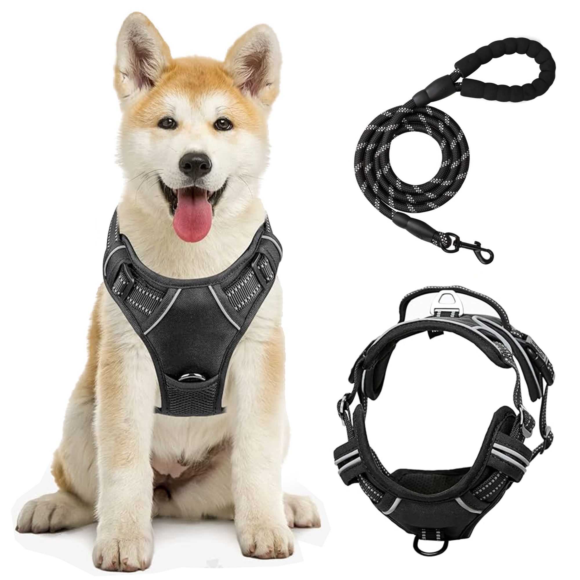 Arnés para perros con diseño ergonómico + Correa cómoda de EVA