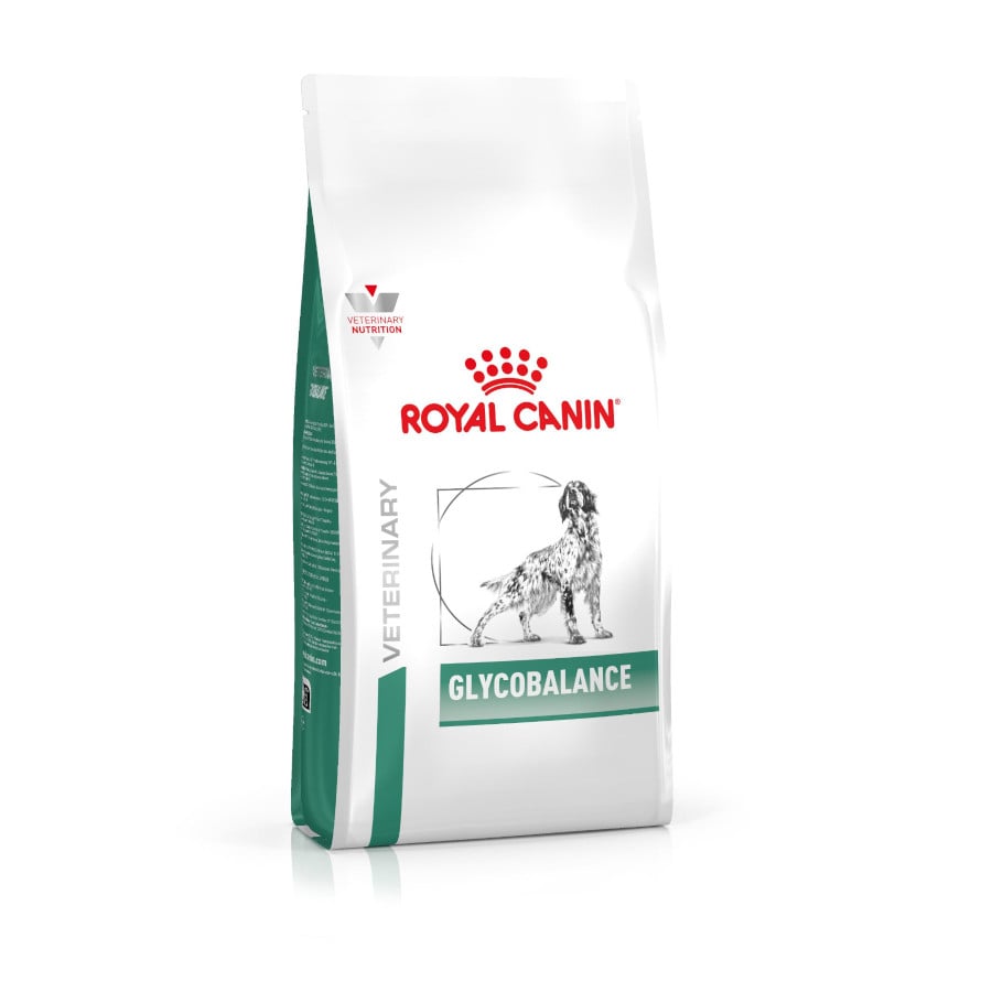 Royal Canin Veterinary Diabetic pienso para perros