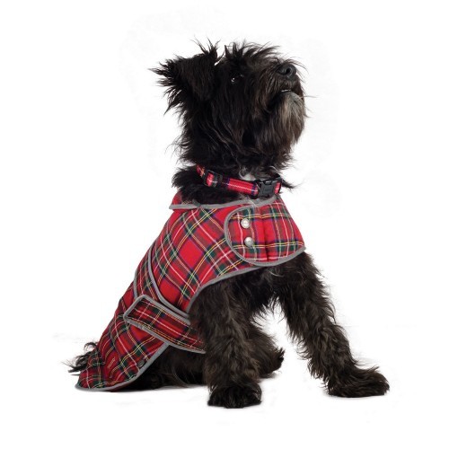 Abrigo Ancol de diseño tartán para perros color Rojo