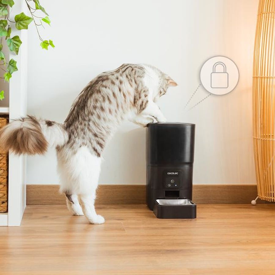 Cecotec Pumba 6000 Purrfect Meal Smart Comedero Automático para perros y  gatos