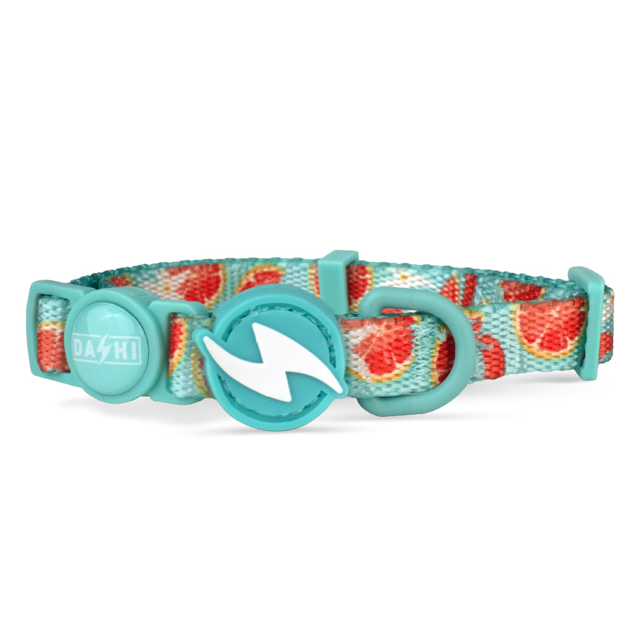 Collar Eco Caribe para gato