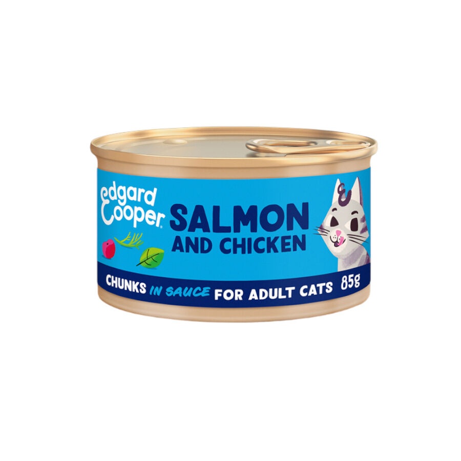 Edgard & Cooper Adult Trocitos de Salmón y Pollo en Salsa lata para gatos