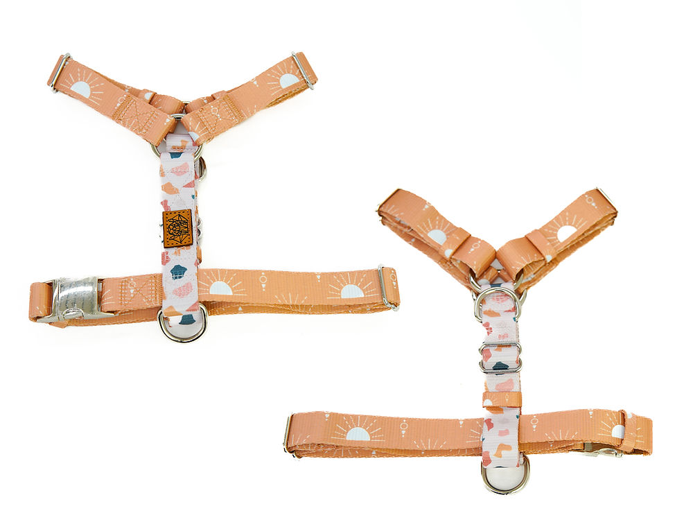 Arnés Strap SUNNY DAYS XS