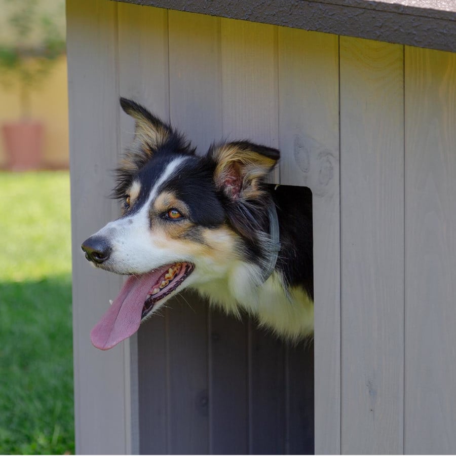 TK-Pet Lake Caseta de Madera para perros