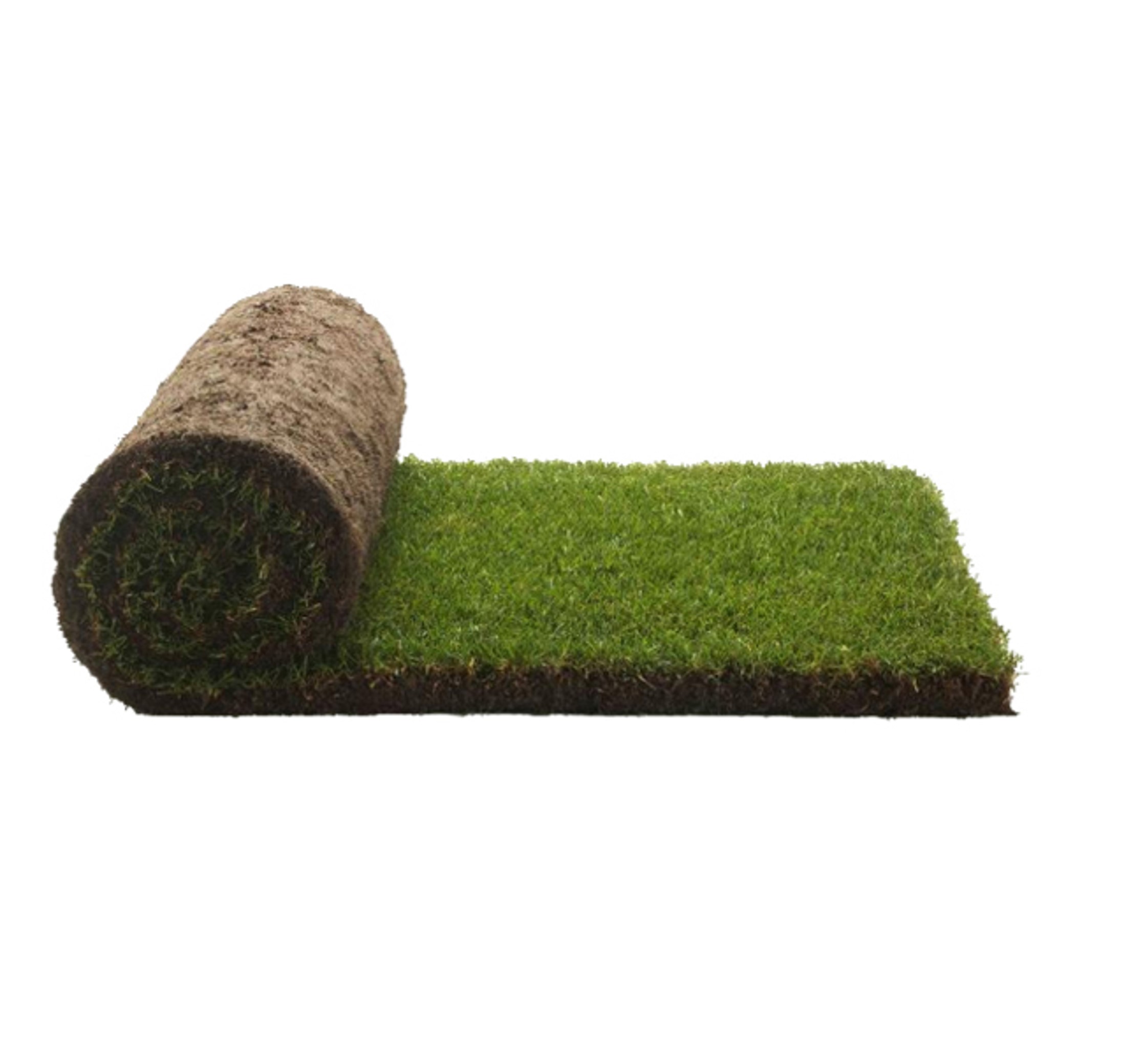 Petground Recambio XL, Cama para perros, Empapador, Alfombra Olfativa, Césped Natural