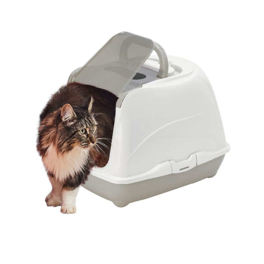 Nice Care Arenero Mega Flip Large Beige para gatos