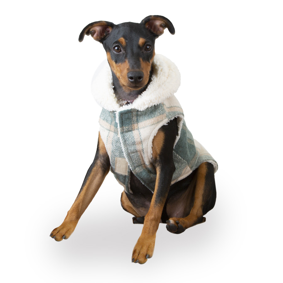 Outech Trenca Azul para perros