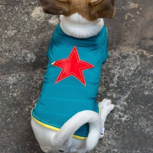Camiseta para perros Willy Star Runner color azul, , large image number null