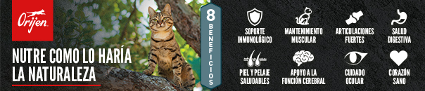 Banner promocional