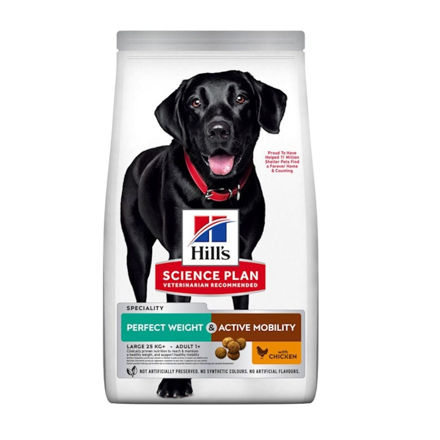 Hill's Science Plan Perfect weight y Active Mobility pollo pienso para perros grandes
