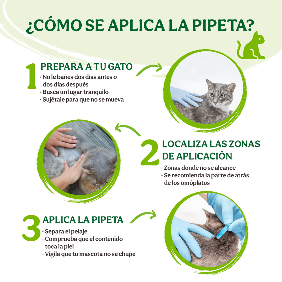 Beaphar Pipetas repelentes para gatos