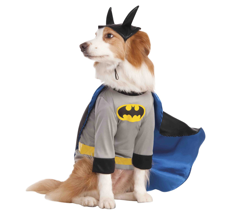 Disfraz Batman para perro