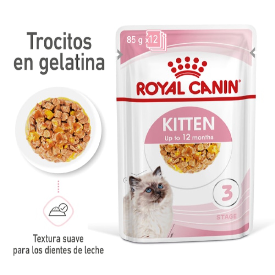 Royal Canin Kitten comida húmeda en gelatina sobre para gatitos