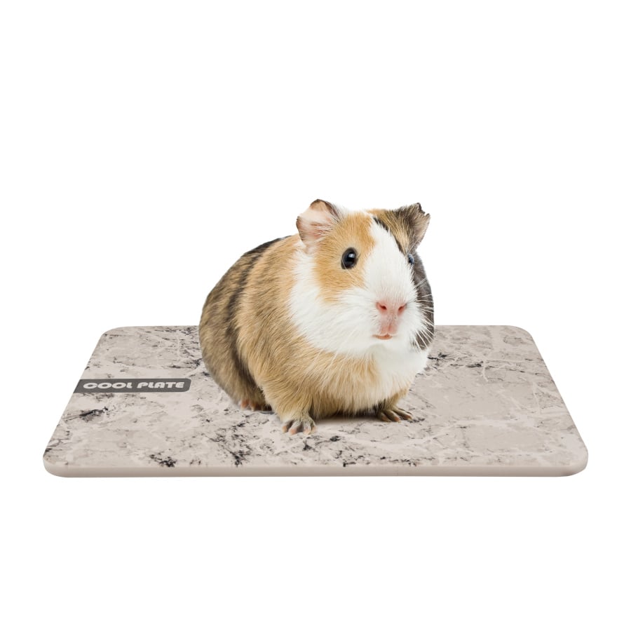 Flamingo Dolo Piedra Refrescante para roedores