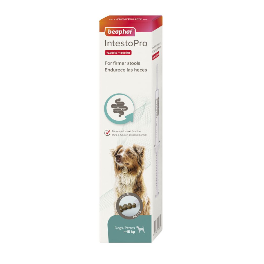 20 ml Beaphar IntestoPro pasta para perros