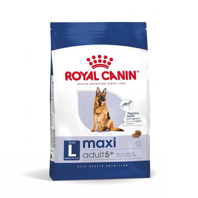 Royal Canin Maxi Adult + pienso para perros senior de raza grande