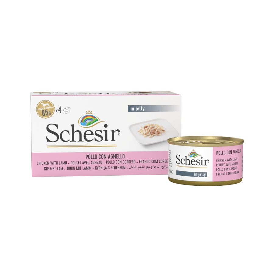 4 latas x 85 g Schesir Pollo y Cordero en Gelatina lata para perros