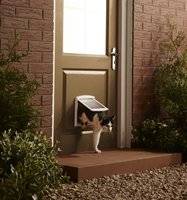 Puerta staywell para gatos y perros pequeÃ±os externa