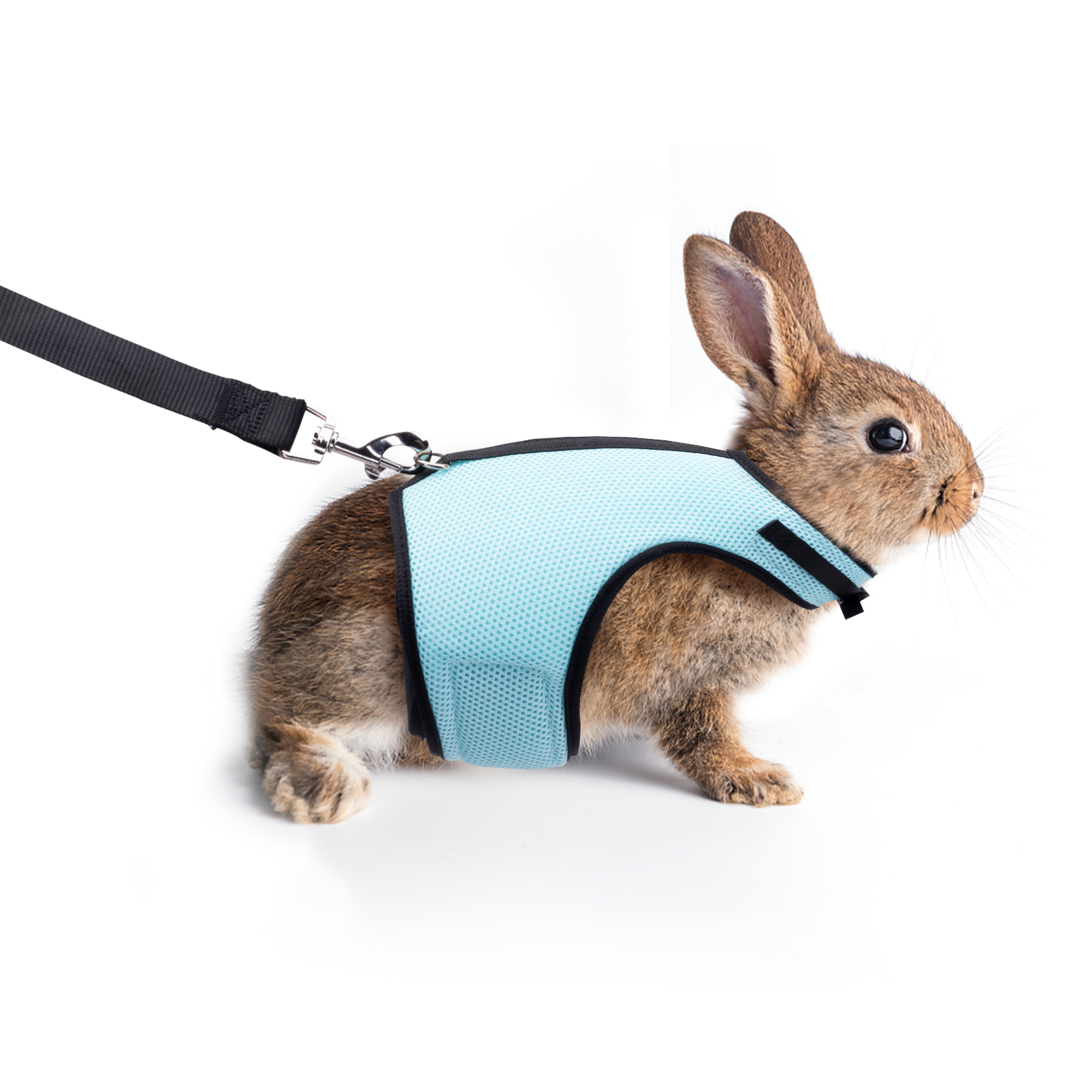 Nobleza Conejito Mink Pequeño Animal Pechera con Cordón Hebilla Ajustable Chaleco de Malla Transpirable M