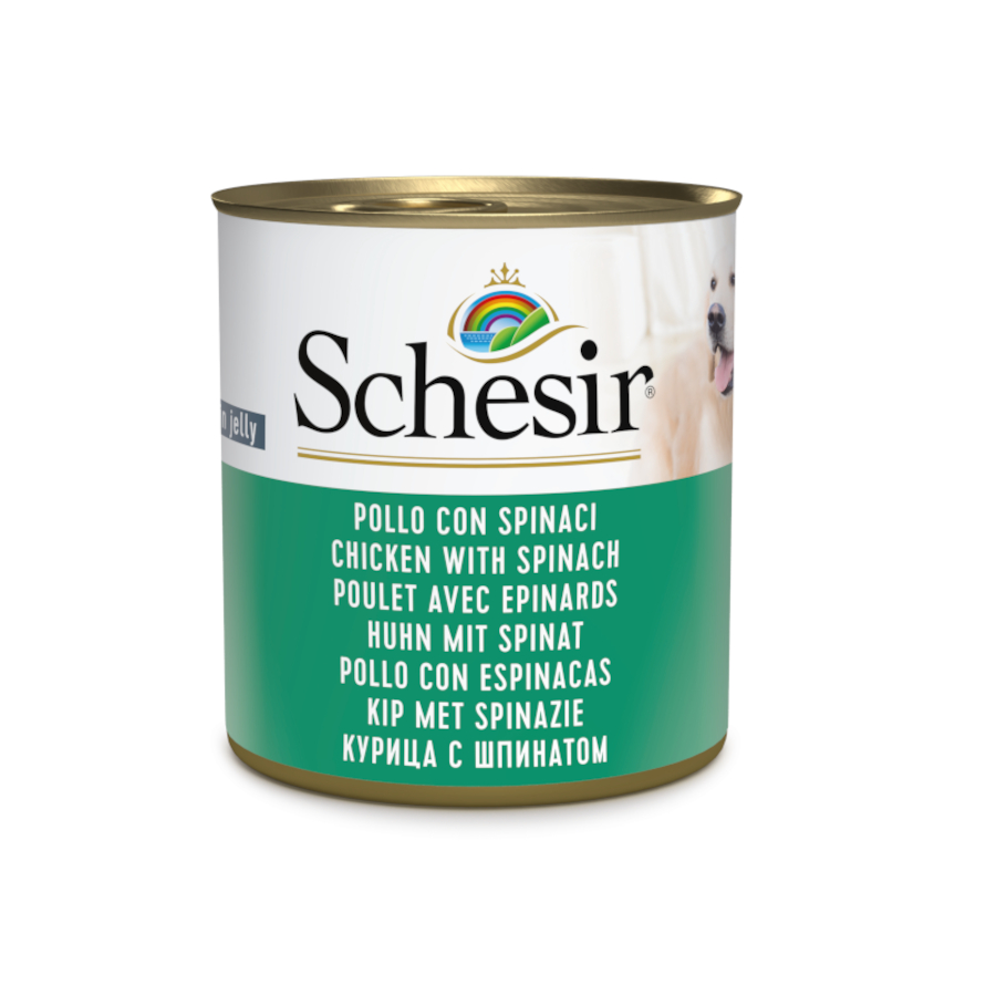 12 latas x 285 g Schesir Adult pollo con espinacas lata para perros ¡Pack ahorro!