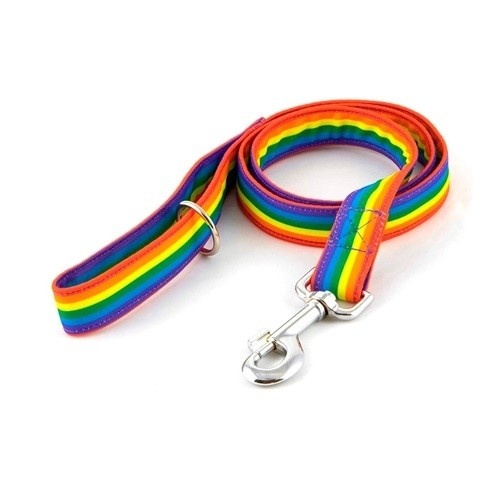 Galguita Amelie rainbow correa multicolor para perros