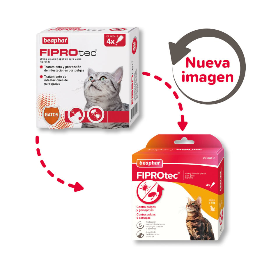 Beaphar Fiprotec Pipetas Antiparasitarias para gatos