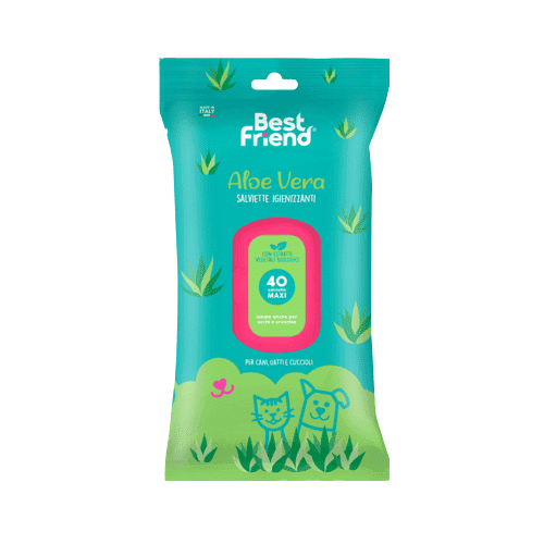 Toallitas Maxi Aloe Best Friend