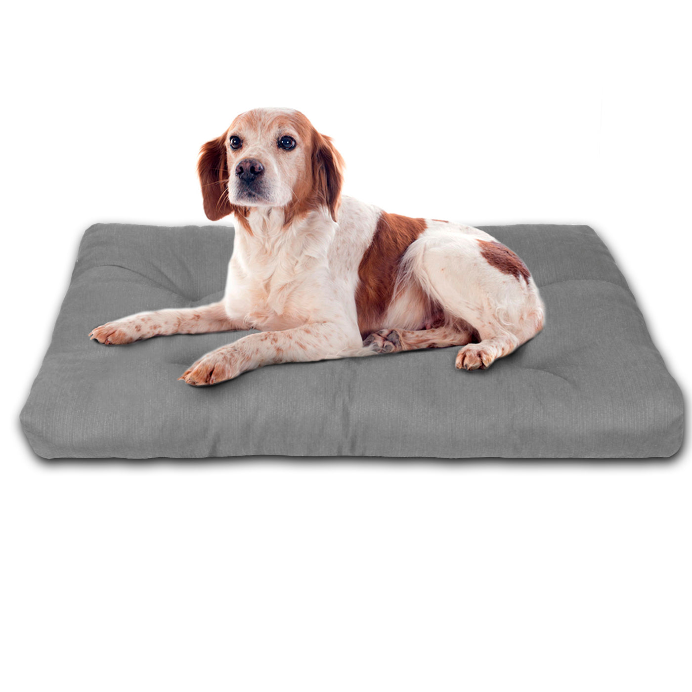 HOME MERCURY- Cama de Mascota, Colchón para Perro, Colchoneta Reversible Estampada Relleno de Espuma para Interior y Exterior. (Small, Gris)