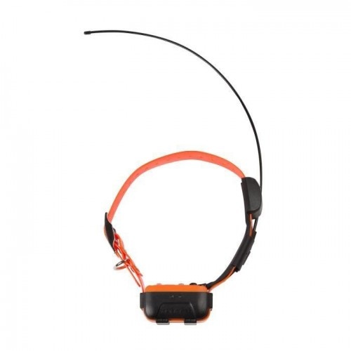 Num'axes Canicom GPS Collar de Adiestramiento para perros