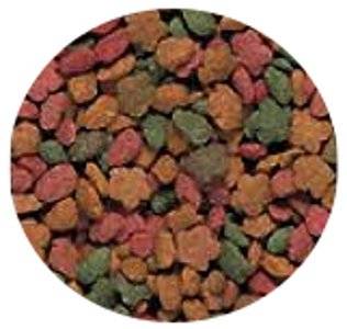 Alimento para Cotorras y Agapornis NutriBird G14 Tropical