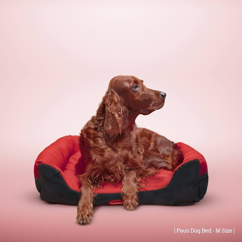 Cama para perros Paus color rojo, , large image number null