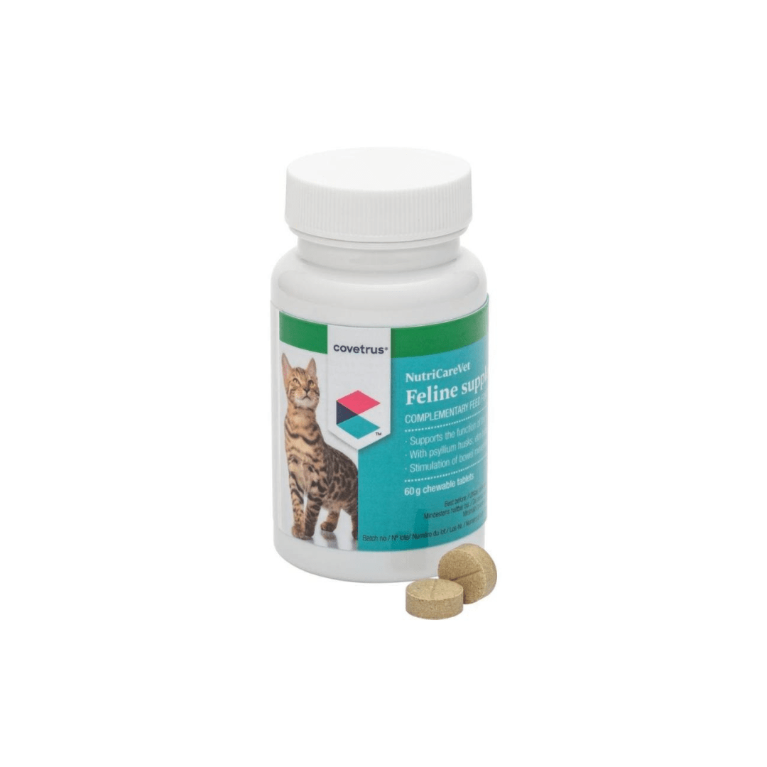 Nutricarevet Suplemento Gástrico Senior Para Gatos