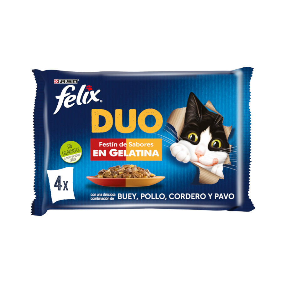 4 sobres x 85 g Felix Fantastic Duo Carne en Gelatina sobre para gatos