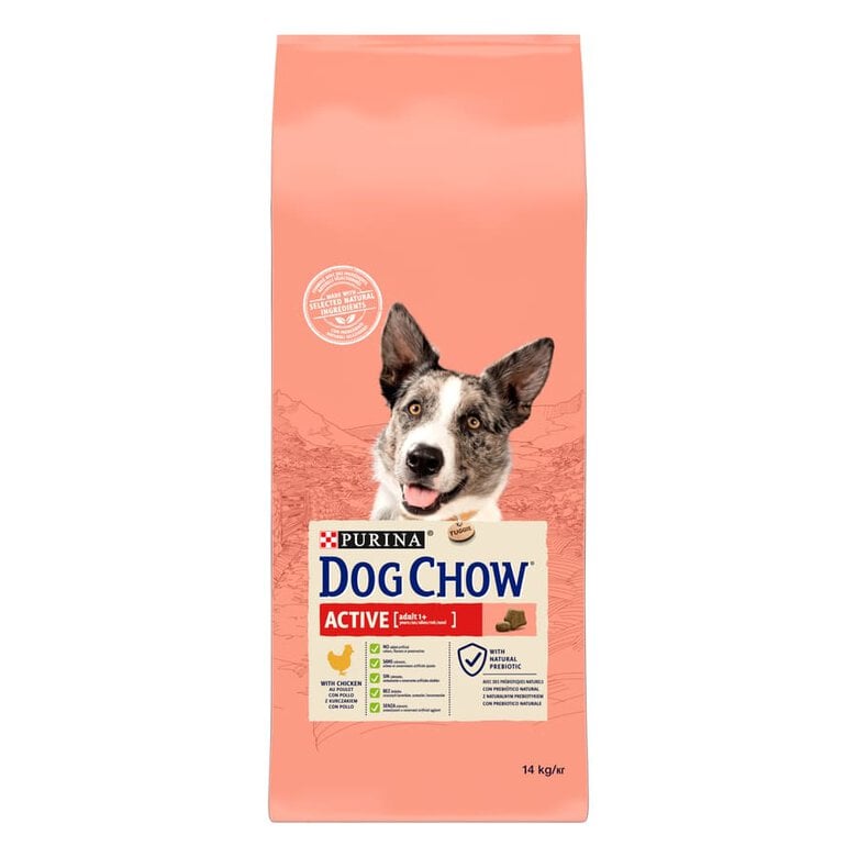 14 kg Dog Chow Active Pollo pienso para perros