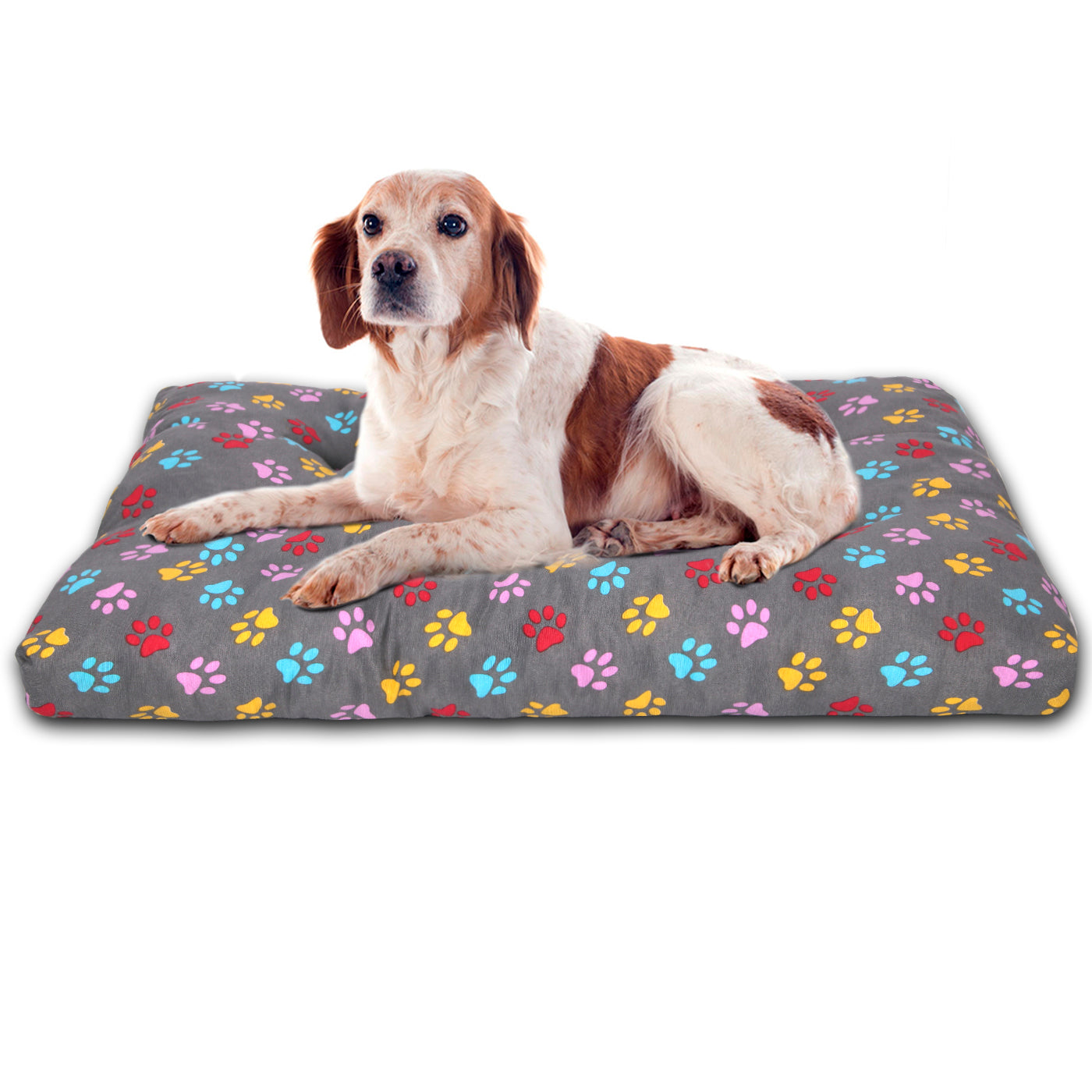 HOME MERCURY- Cama de Mascota, Colchón para Perro, Colchoneta Reversible Estampada Relleno de Espuma para Interior y Exterior. (Medium, Huellas)