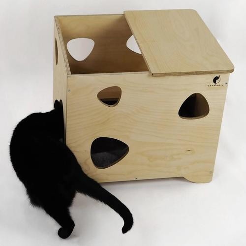 Caja de juegos para gatos Atrápame si puedes color Marrón, , large image number null