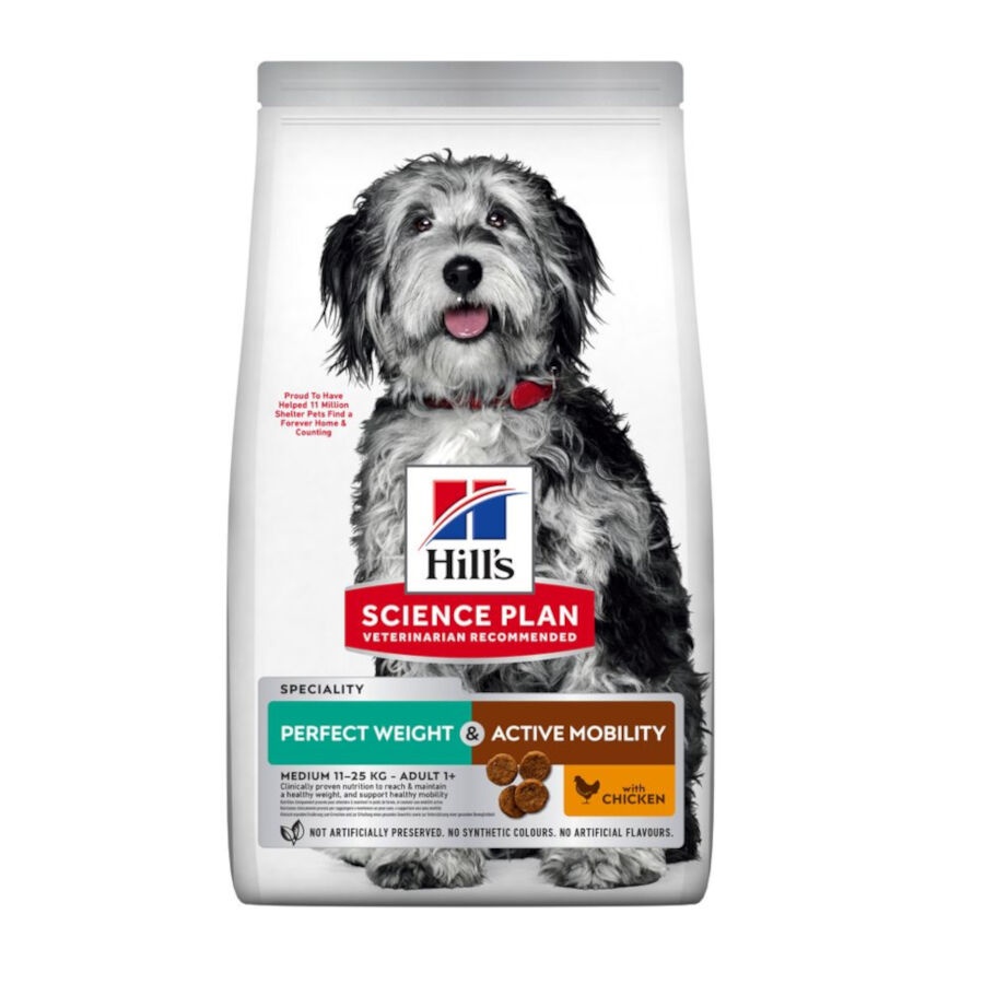 Hill's Science Plan Perfect Weight y Active Mobility pollo pienso para perros medianos