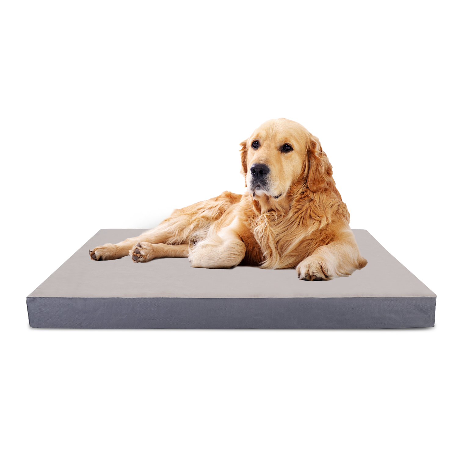 Cama Perro Grandes Ortopédica, Colchoneta Perro Lavable, Colchon Perro con Funda Desenfundable, Relleno Grueso, Forma de Huevo,