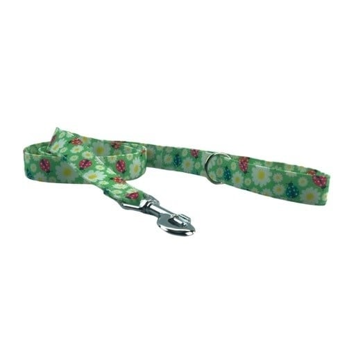 Galguita Amelie lady bug correa multicolor para perros