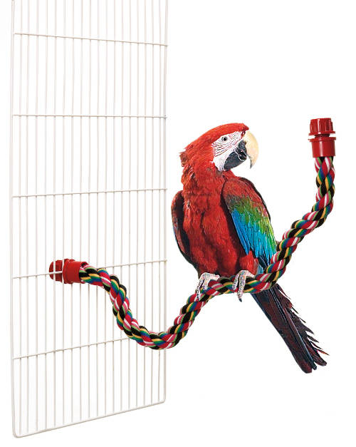 Percha de algodon trenzado multicolor para loros