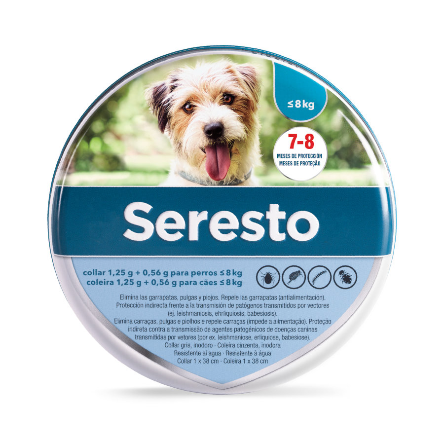 herramienta junto a Pequeño Collar Seresto para Perros