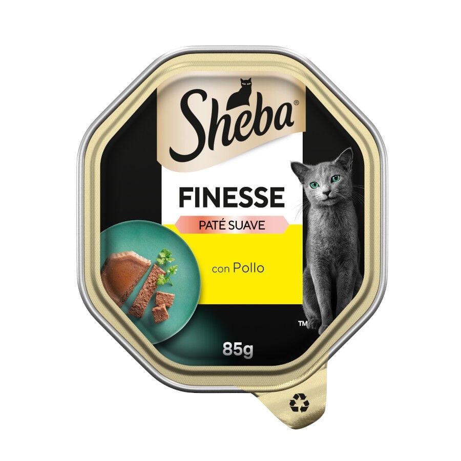 12 tarrinas x 85 g Sheba Finesse Pollo en Paté tarrina para gatos ¡Pack Ahorro!