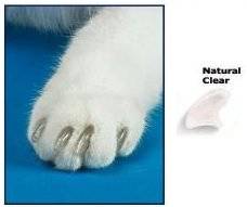 Ordenanza del gobierno juicio formato Smarthealth uñas postizas para gatos | Tiendanimal