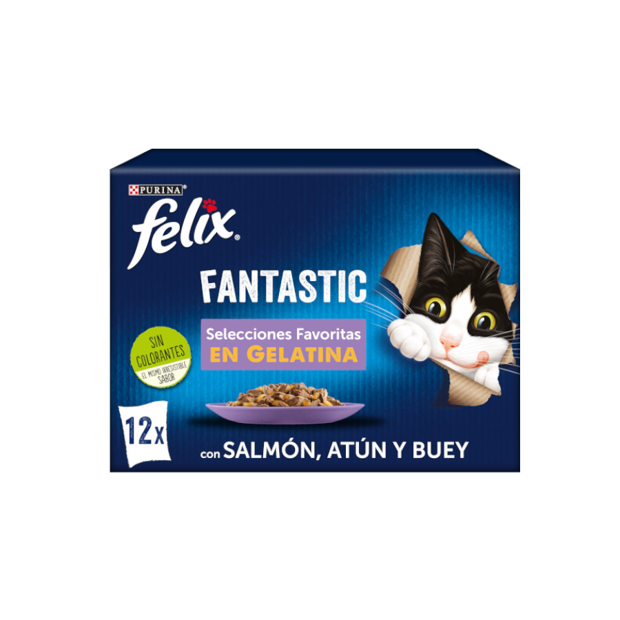 48 sobres x 85 g Felix Fantastic Selecciones Favoritas sobres en gelatina  ¡Pack ahorro!