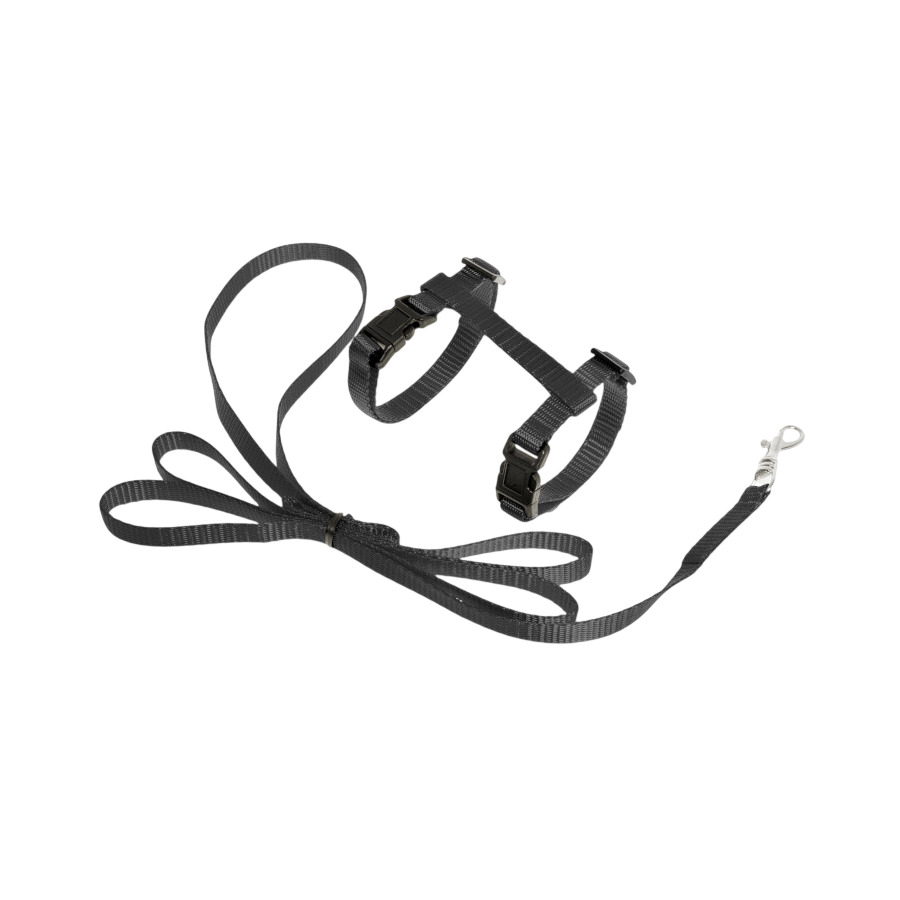 Flamingo Arnés con Correa Negro para gatitos